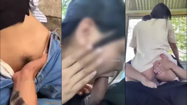 ဆော်လေးကို အကြိုက်နှိုက်ပြီးမှ အပေါ်ကတက်ဆောင့်ခိုင်းတဲ့ဘဲ အပြာကား